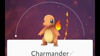 Pokemon GO  Where To Catch Charmander [upl. by Etterb]