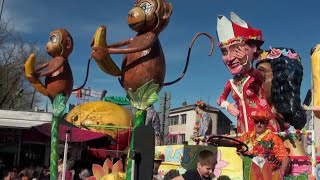 Régions  Albi  le plus vieux carnaval de France [upl. by Earezed]