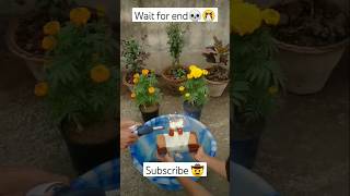 Anar cracker Vs Water Testing 2024 diwalispecial diwali anarvswater viral shorts experiment [upl. by Ahmar]