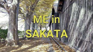 My 2023 Autumn Tour of Sakata [upl. by Pirzada]