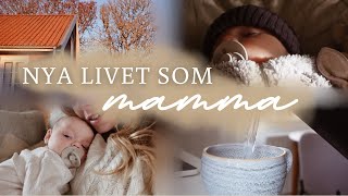 LIVET SOM UNG MAMMA👶🏼🍼  att jämföra sig med andra städar huset amp bebismys [upl. by Lokcin153]