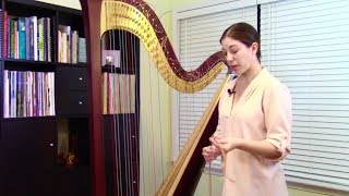 Replacing a Full Set of Strings Harp Care Maintenance and Repair 14 [upl. by Hammer]