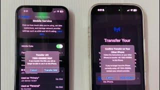 ESIM transfer from Old Iphone to New Iphone [upl. by Thurman]