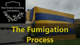 How Does Fumigation Work The Whole Process As I Saw It [upl. by Enelym]