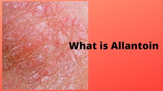 What is Allantoin [upl. by Bethanne]