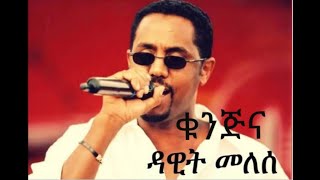 Dawit Melese  Kunjina Music Lyrics  ዳዊት መለሰ  ቁንጅና ሙዚቃ በግጥም Ethiopian Beautiful Music [upl. by Ynottirb825]