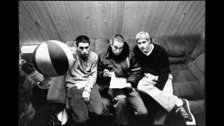 Beastie Boys  Brand New Live in Vienna 98 [upl. by Hoi2]