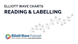 How to Read and Label Elliott Wave Charts  Learn Elliott Wave  Elliott Wave Forecast [upl. by Doreg100]