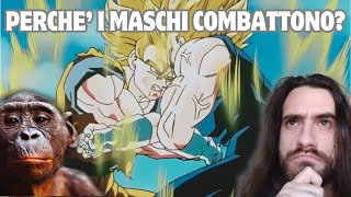 Perché i MASCHI COMBATTONO [upl. by Maker89]