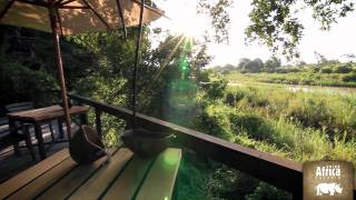 Parc National Kruger  Rhino Africa Safaris [upl. by Eelamme]