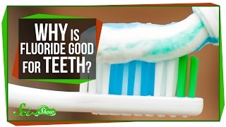 Why Is Fluoride Good for Teeth [upl. by Smada]