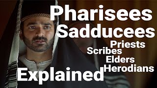 PHARISEES SADDUCEES Priests Scribes Elders Herodians EXPLAINED [upl. by Ibby]