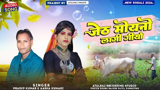 adivasi rodali जेठ मोयनो लागी गीयो new 2024 rodali song [upl. by Rossi]