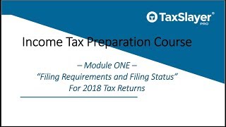 Filing Status and Filing Requirements for Tax Returns [upl. by Orianna]