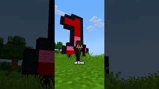 El origen de la Elytra de Minecraft 😱 [upl. by Reeba]