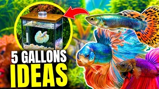 Best Fish for 5 Gallon Tanks Our Top 10 Picks [upl. by Bobbye]