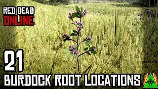 Red Dead Redemption 2 ONLINE  Burdock Root Locations [upl. by Ynnal]