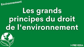 🌍 Les grands principes du droit de lenvironnement [upl. by Anitroc]