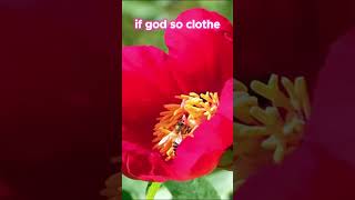 Awesome God omnipotence creator godalmighty jesus god [upl. by Solorac412]