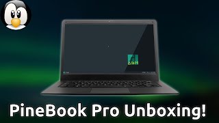 PineBook Pro Unboxing and First Impressions [upl. by Aisela]