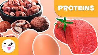 What are proteins  Healthy Eating for Kids [upl. by Adnarrim]