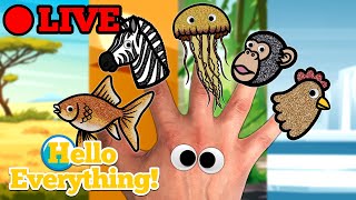 🔴 Hello Everything 👀 Live Stream  Finger Family Nursery Rhymes amp Animation [upl. by Joanna]