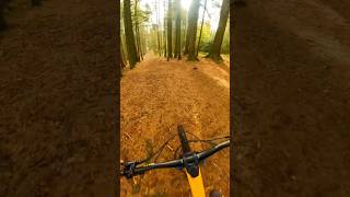 Rad section of trail 🤘🏼mtb mountainbike mtbbike mountainbiking shorts youtubeshorts [upl. by Ecineg]