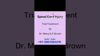 Spinal cord brain nerves injury treatment acupuncture [upl. by Nyssa]