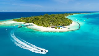 Kuramathi Maldives 2019 Updated [upl. by Aday937]