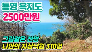 욕지도싼땅 농막 놓으면 딱 바다뷰 농지 310평 단돈 2500만원에 바닷가땅 사자 남해땅 통영땅 거제땅 농막부지 급매 경남 통영  미영애기씨TV [upl. by Rengia915]