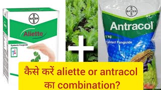 Aliette। Antracoal। Bayer। fungicide [upl. by Etteb]