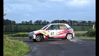 Mistake Rallye de la Suisse Normande 2019 [upl. by Greenebaum]