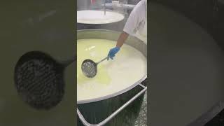 Making Ricotta in a Cheese Factory food cheesemaking cheese cheeseproduction ricotta melbourne [upl. by Milka]