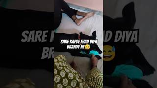 Sare Kapde Fhad Diye Brandy Ne😅vlog brandy doglover dog dogmom shortsvideo [upl. by Bornie]