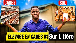 Lélevage de pondeuses en cages VS Sur litière [upl. by Ahsiram]