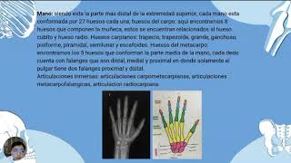 Anatomia Radiologica de pie hombro y mano [upl. by Alracal888]