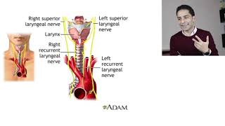 أمراض الغدة الدرقية quot9quot  Graves Disease Management [upl. by Ezarra655]