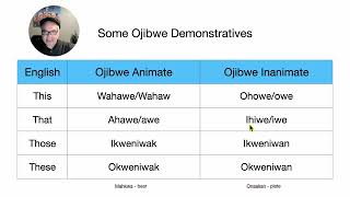 Some Ojibwe Demosntratives [upl. by Marilin]