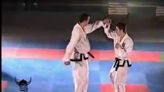 Wielka Gala Taekwondo Kołobrzeg 2003 [upl. by Euseibbob852]