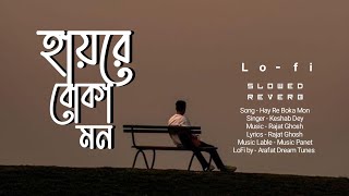 হায়রে বোকা মন 20  Hay Re Boka Mon by LoFi  Slowed amp Reverb Songs  Rajat  Lyrics Album [upl. by Iah]