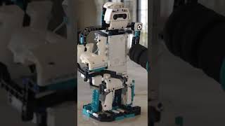 YOU Got Served by the LEGO Mindstorms Beta Rex [upl. by Morra]