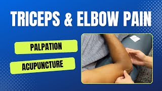 Triceps amp Elbow Pain [upl. by Toy]