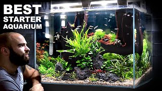 The Budget Aquarium Setup You Cannot Miss [upl. by Yttik]