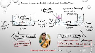 Reverse Osmosis Method By Dr Anjali Ssaxena [upl. by Patterman]