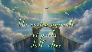 Un vostro caro animale vi parla dalloltre Canalizzazione [upl. by Larina]