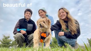 FAMILY DAY IN MY LIFE VLOG 」｡≧□≦」 [upl. by Gradey]