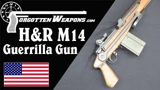 HampRs Experimental M14 Guerrilla Gun [upl. by Yggep]