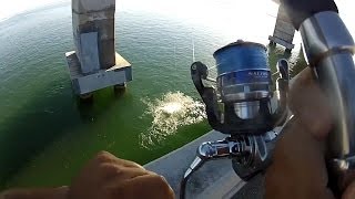 How To Fish For Tarpon From Bridges [upl. by Lebatsirhc767]