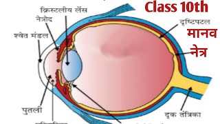 मानव नेत्र तथा रंगबिरंगा संसार क्लास 10th l manav netra tatha rang biranga sansar class 10 in hindi [upl. by Eiralih]