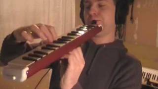 Brandenburg Concerto 2  1 with 4 melodicas in consort  recorder  Bach on melodica [upl. by Aimehs41]